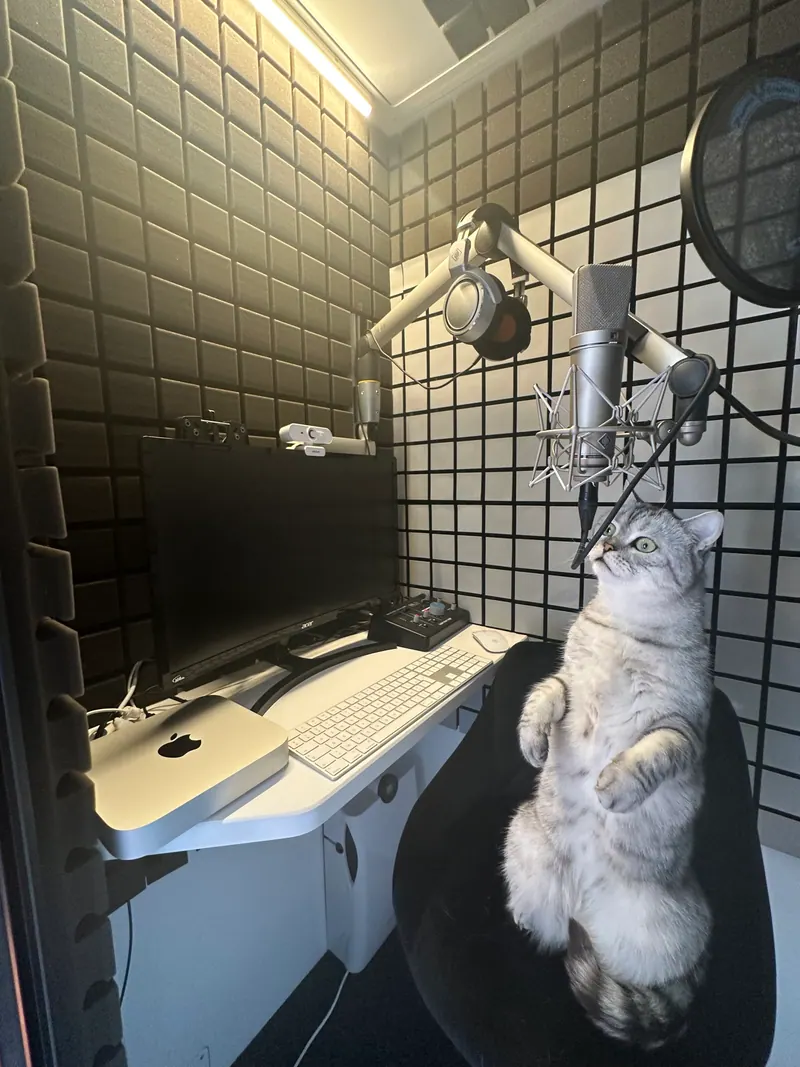 Un chat assis sur le fauteuil de la cabine d'enregistrement